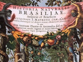 Historia Naturalis Brasiliae, 1648