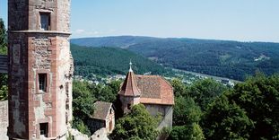 Ruines du château-fort de Dilsberg