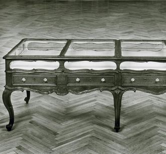 Mannheim Baroque Palace, table display case in the Natural History Cabinet