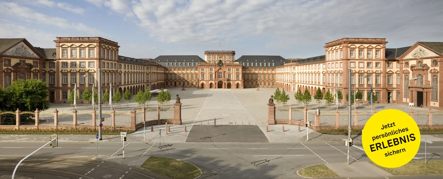 Barockschloss Mannheim, Gesamtanlage