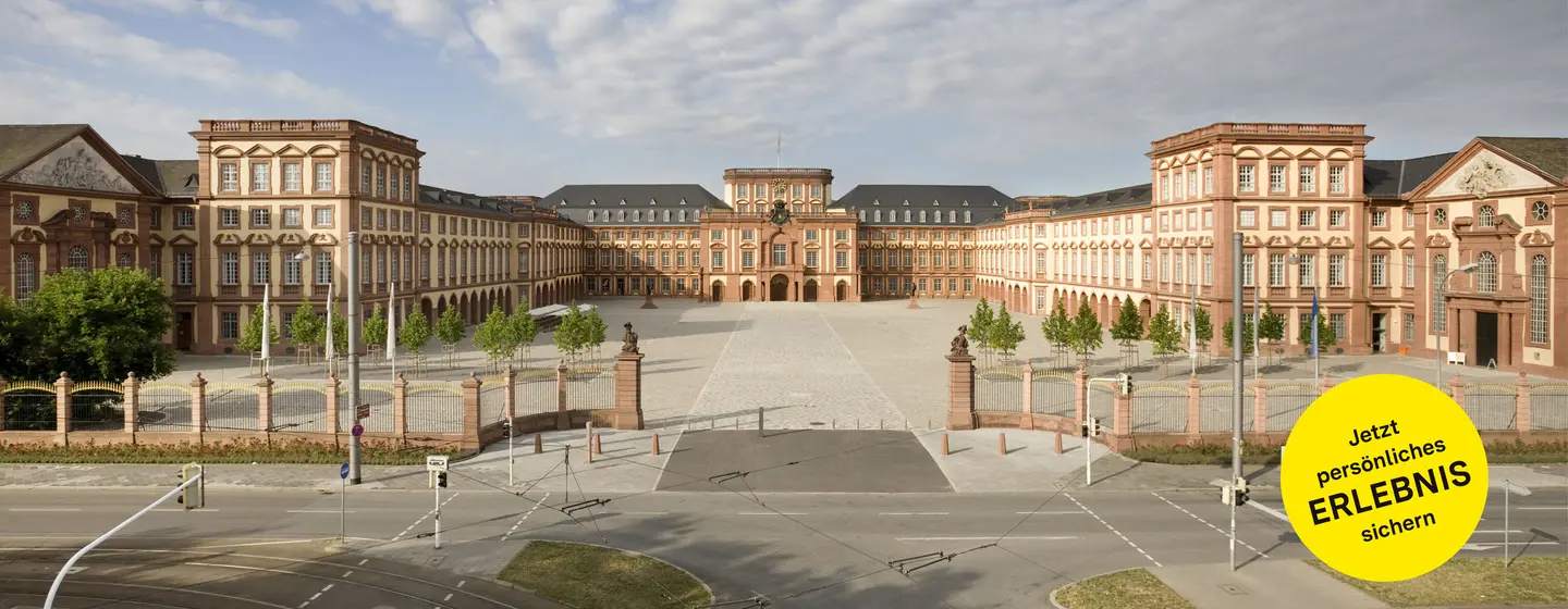 Barockschloss Mannheim, Gesamtanlage