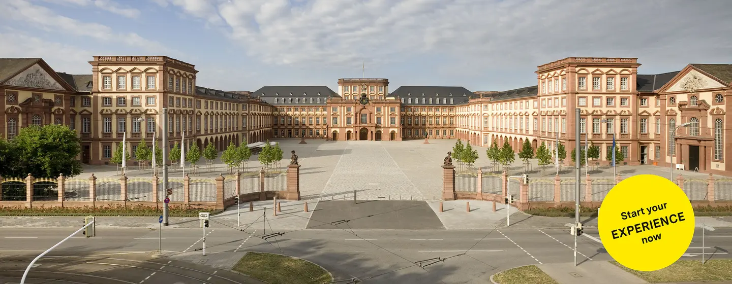 Mannheim Baroque Palace, overview of the palace grounds