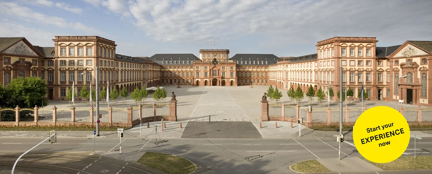 Mannheim Baroque Palace, overview of the palace grounds