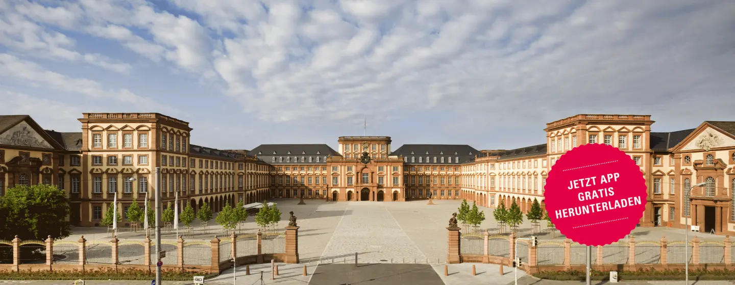 Barockschloss Mannheim, Gesamtanlage